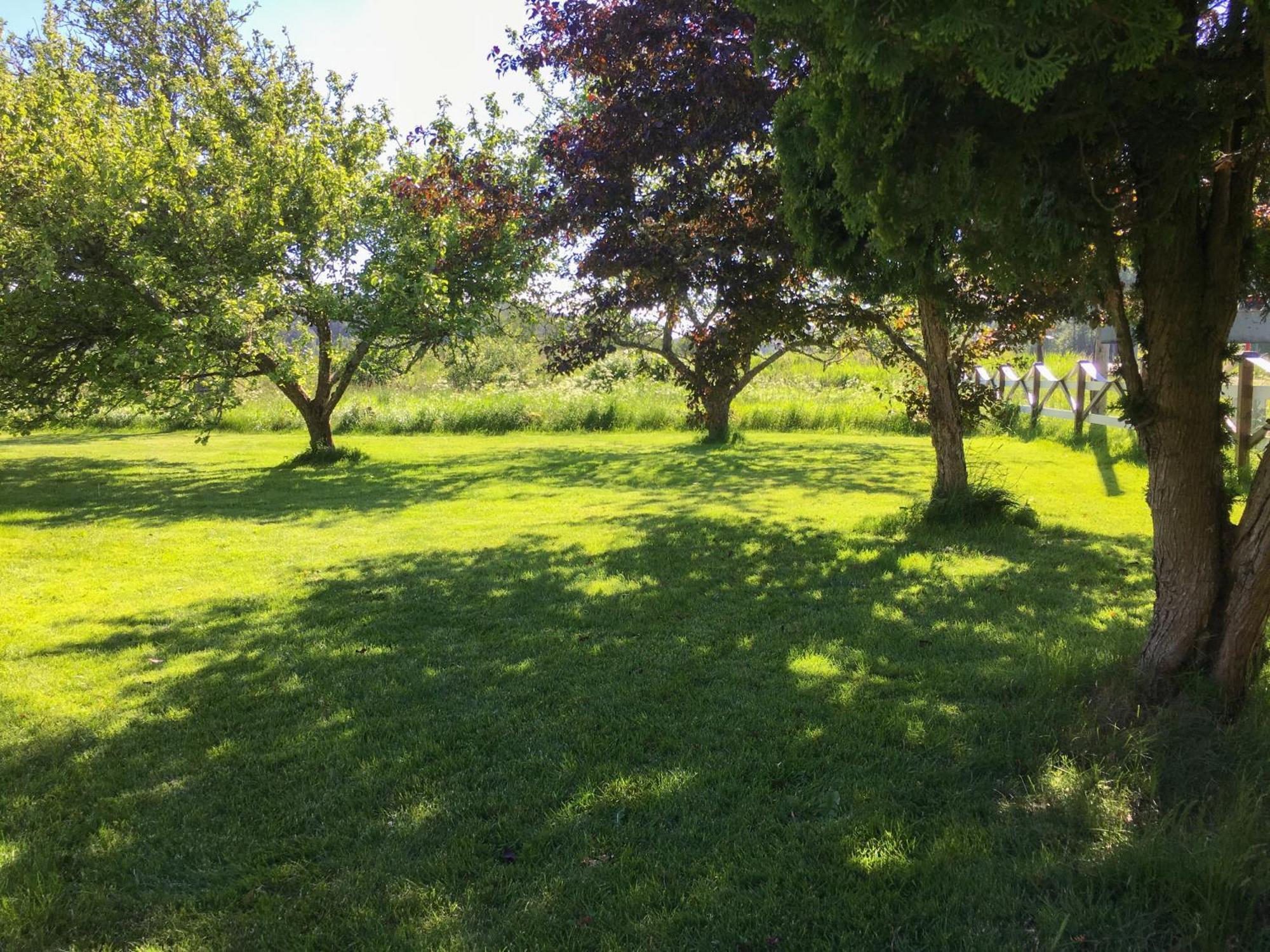 Orreklaepp Tanumshede Quarto foto